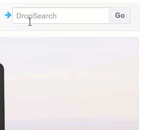DropSearch