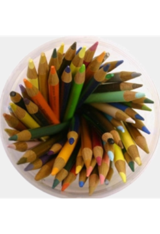 Retained Support Services (RSS)