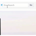 DropSearch