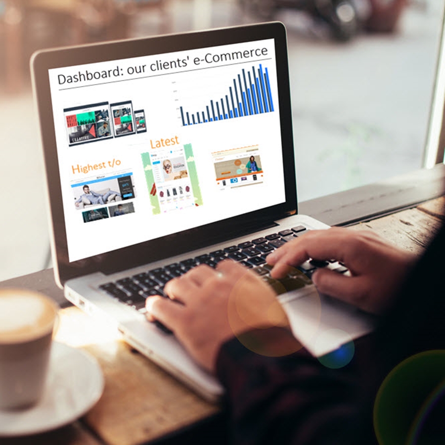 Software Developers: Build an eCommerce Business