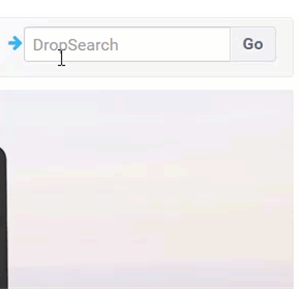 DropSearch